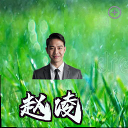 赵凌